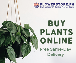 buy plants online