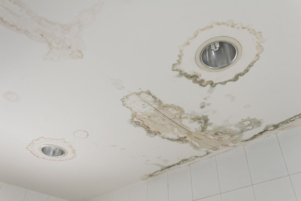 Damaged home ceiling