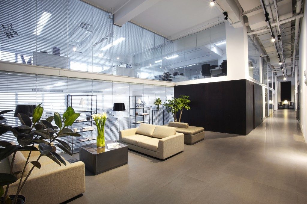 Modern office with plants