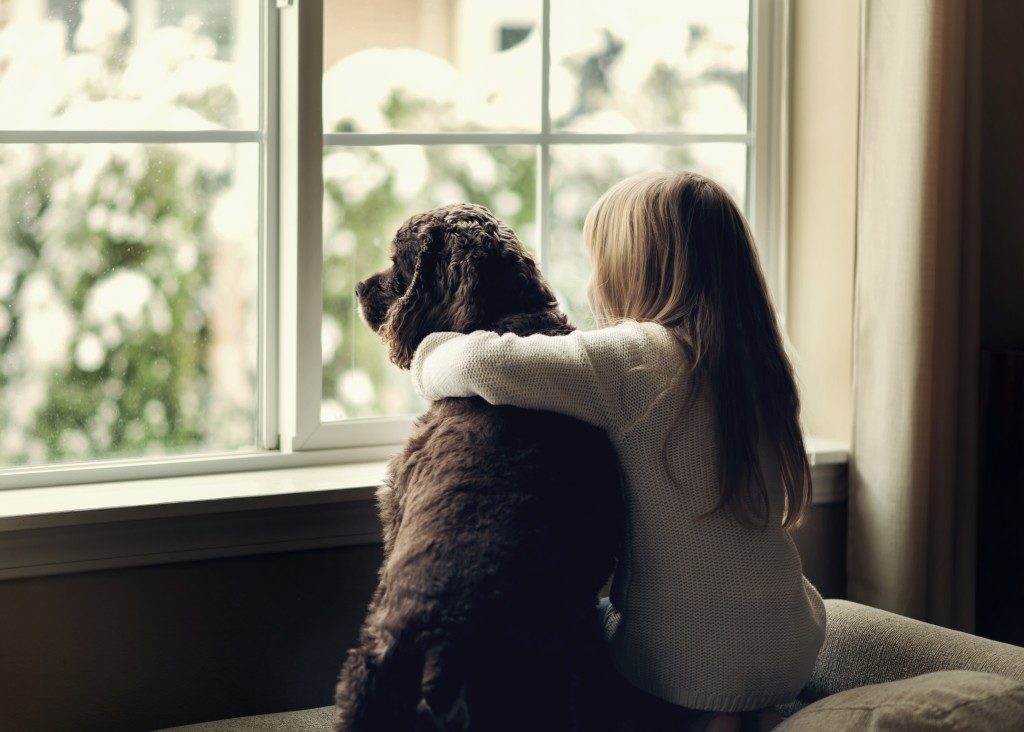 Child and dog by the window