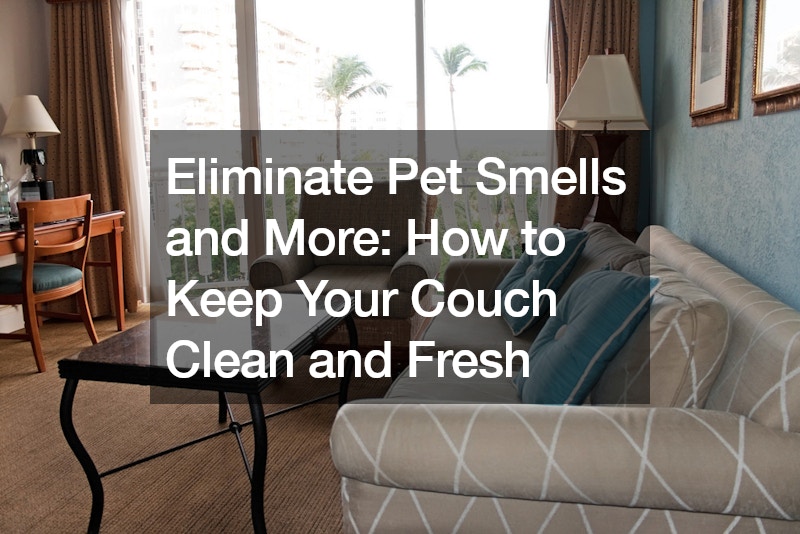 Eliminate Pet Smells and More How to Keep Your Couch Clean and Fresh